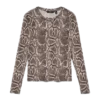 Vmlova-top Vmlova-top